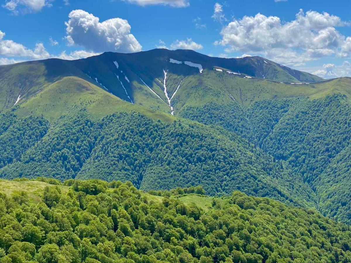 Під Боржавою Воловец Экстерьер фото