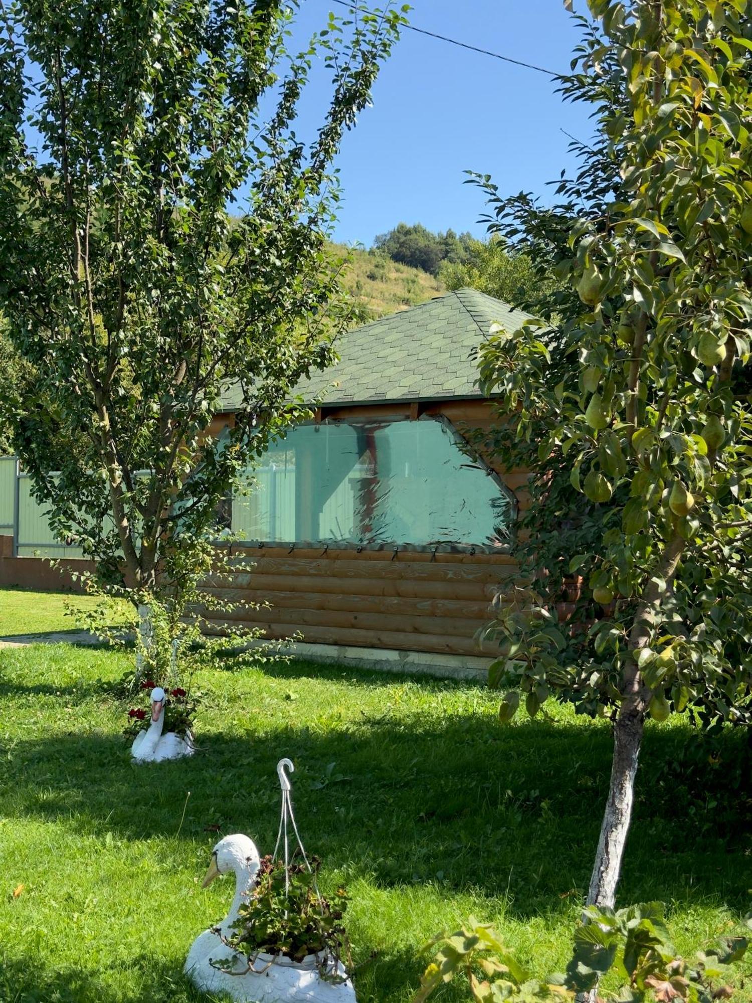 Під Боржавою Воловец Экстерьер фото